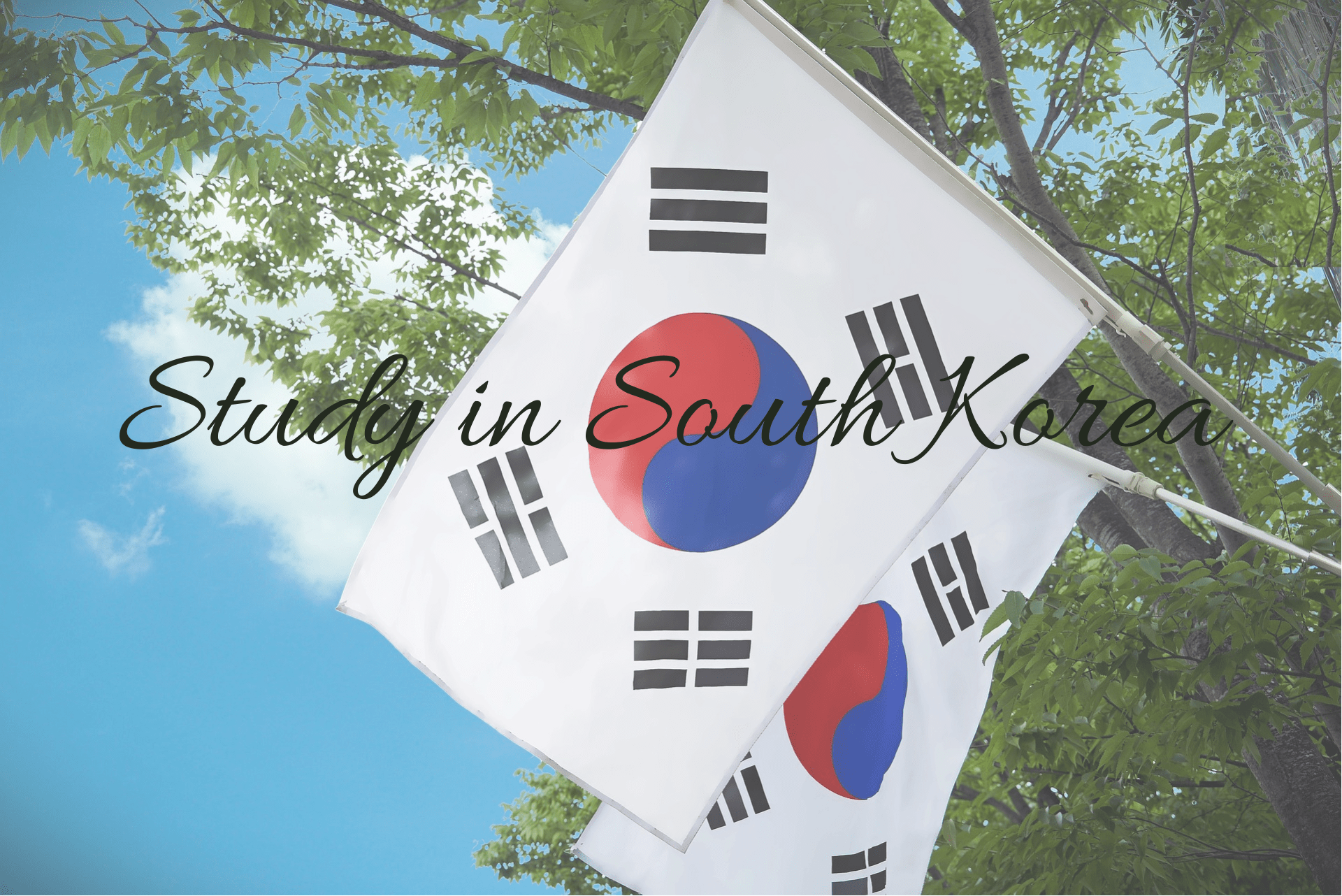 Study in South Korea Featured Image